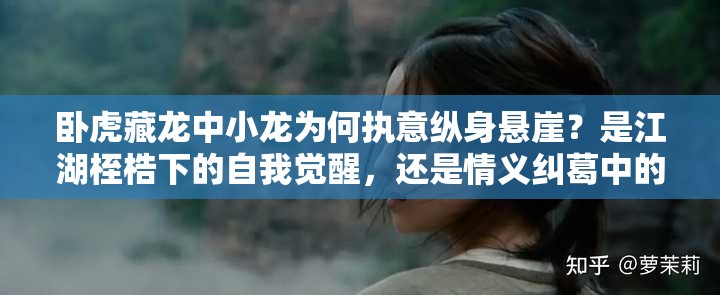 臥虎藏龍中小龍為何執(zhí)意縱身懸崖？是江湖桎梏下的自我覺醒，還是情義糾葛中的終極抉擇？